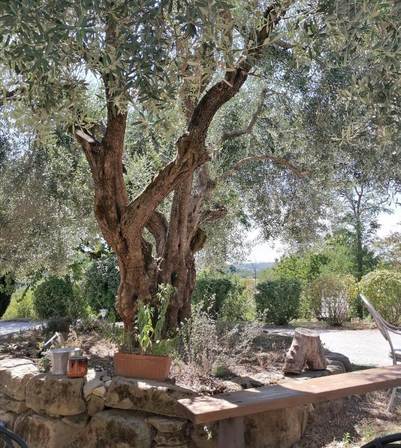 הוילה גוביו La Brocca Di Valdichiascio מראה חיצוני תמונה